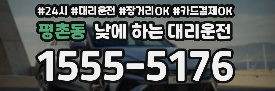 평촌동 낮에 하는 대리운전