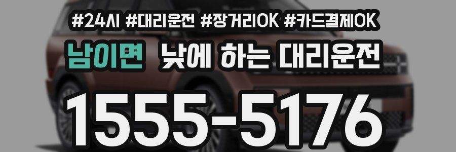 남이면 낮에 하는 대리운전