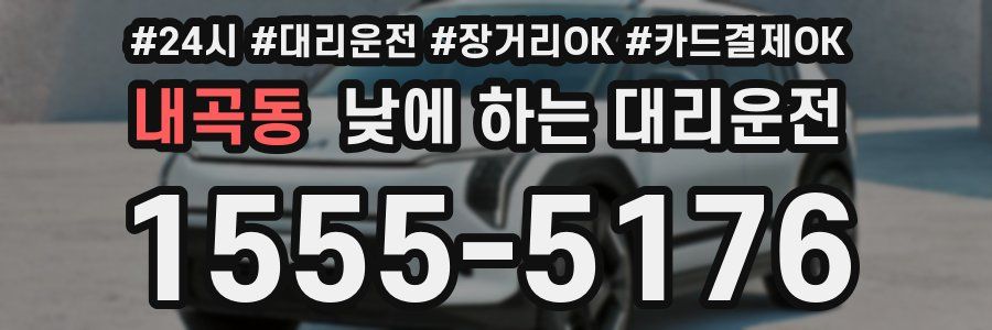 내곡동 낮에 하는 대리운전