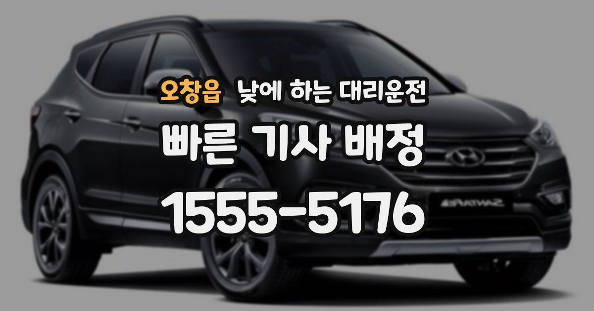 오창읍 낮에 하는 대리운전