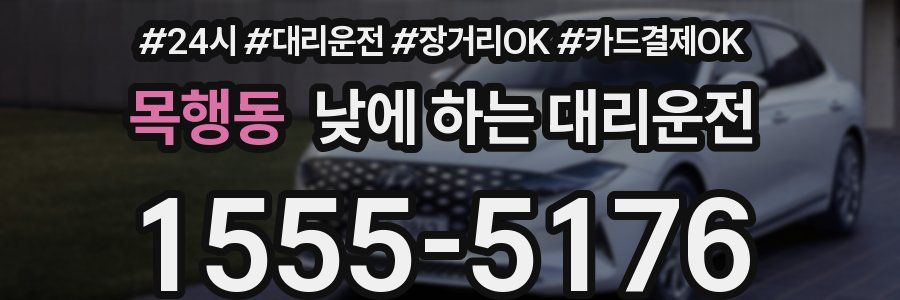 목행동 낮에 하는 대리운전