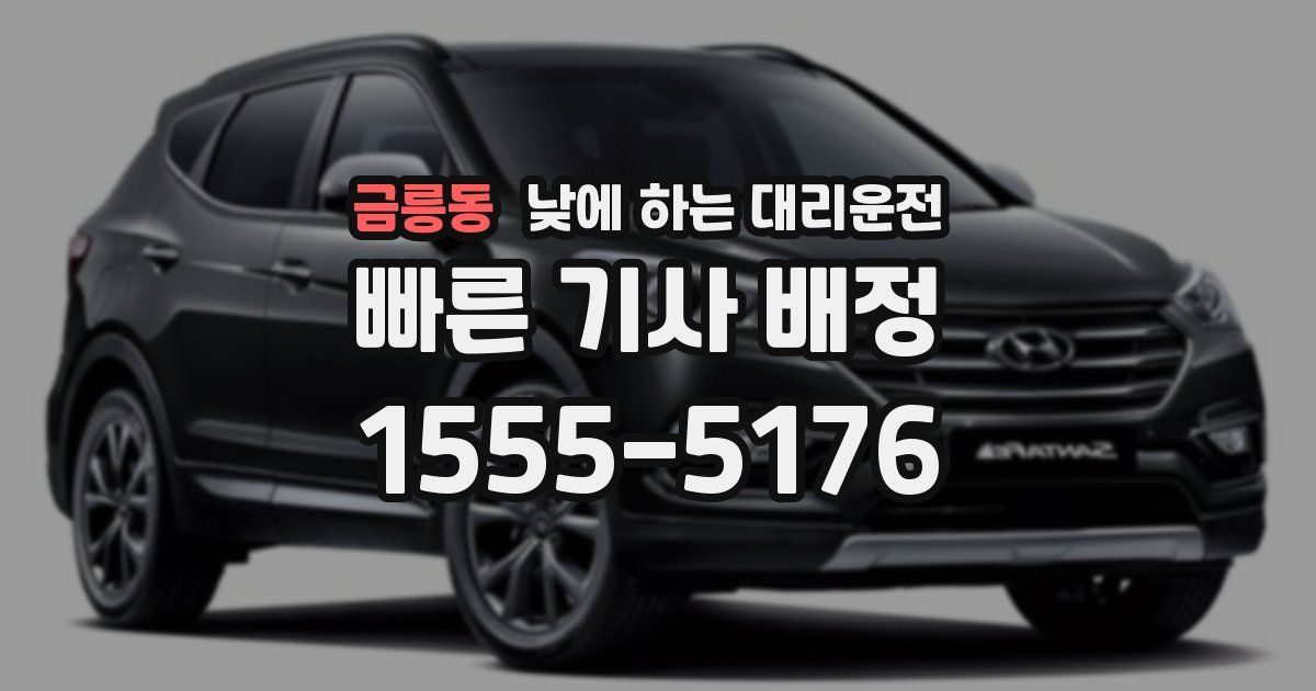 금릉동 낮에 하는 대리운전