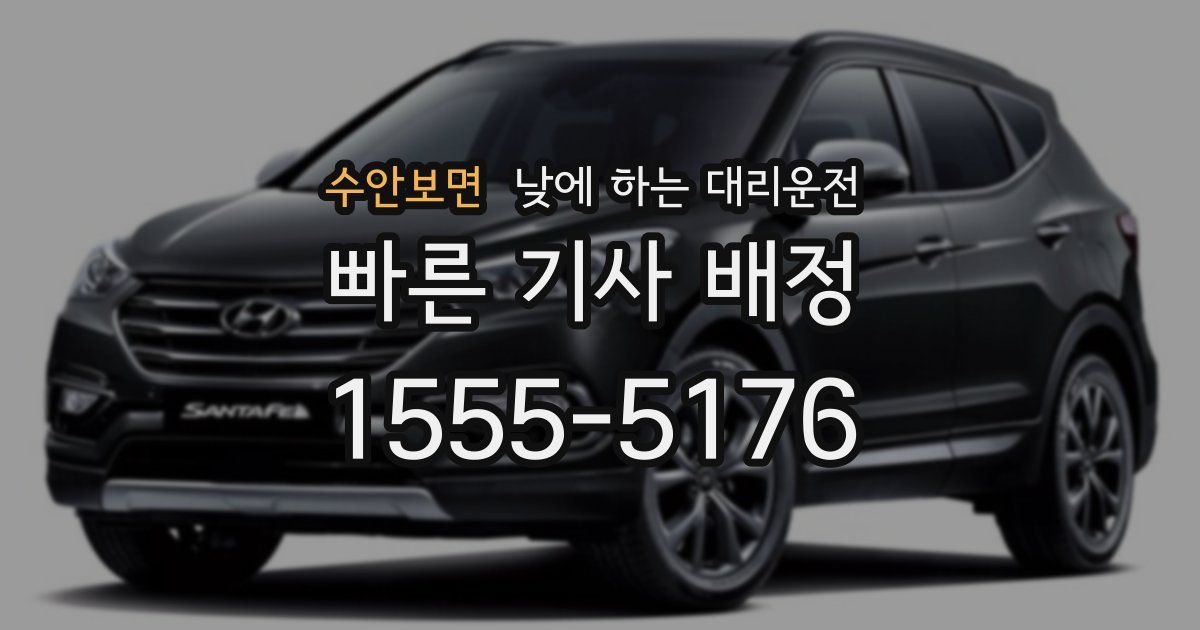 수안보면 낮에 하는 대리운전