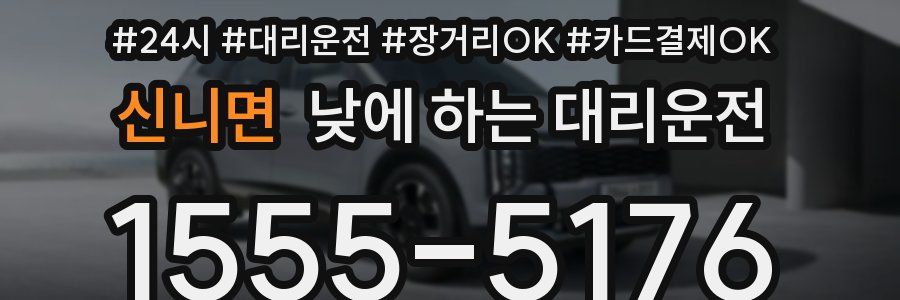 신니면 낮에 하는 대리운전