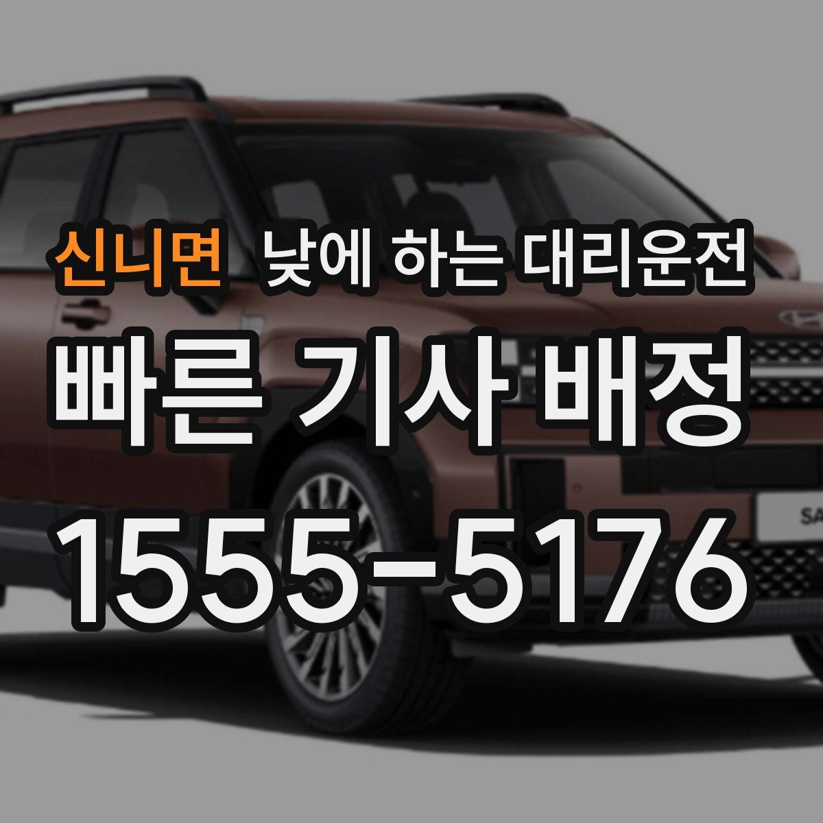 신니면 낮에 하는 대리운전