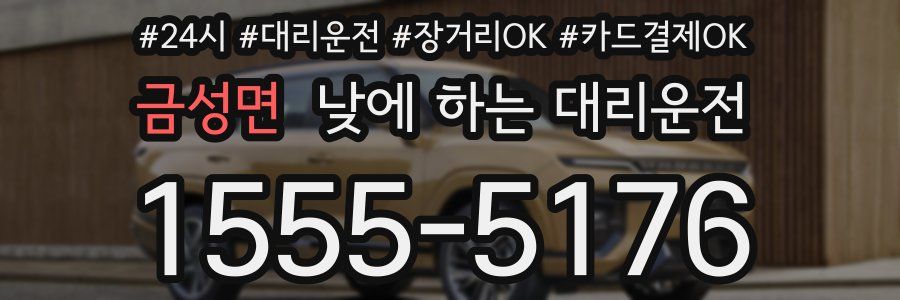 금성면 낮에 하는 대리운전