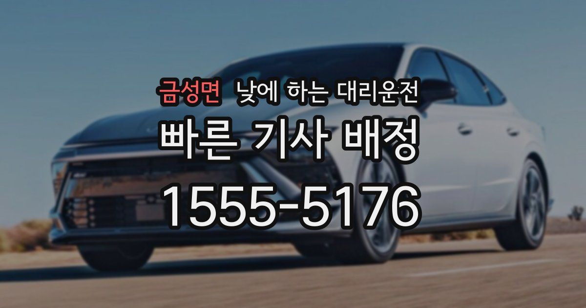 금성면 낮에 하는 대리운전