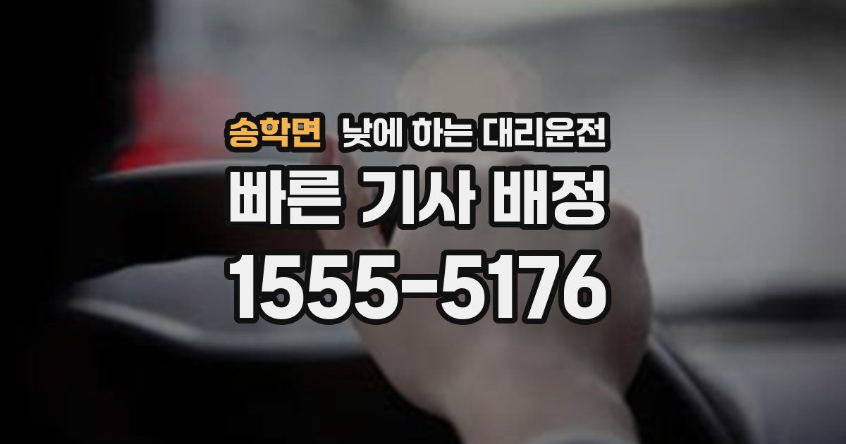 송학면 낮에 하는 대리운전