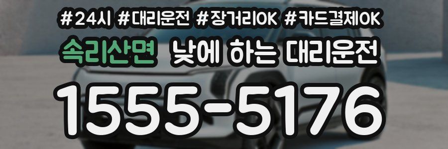 속리산면 낮에 하는 대리운전