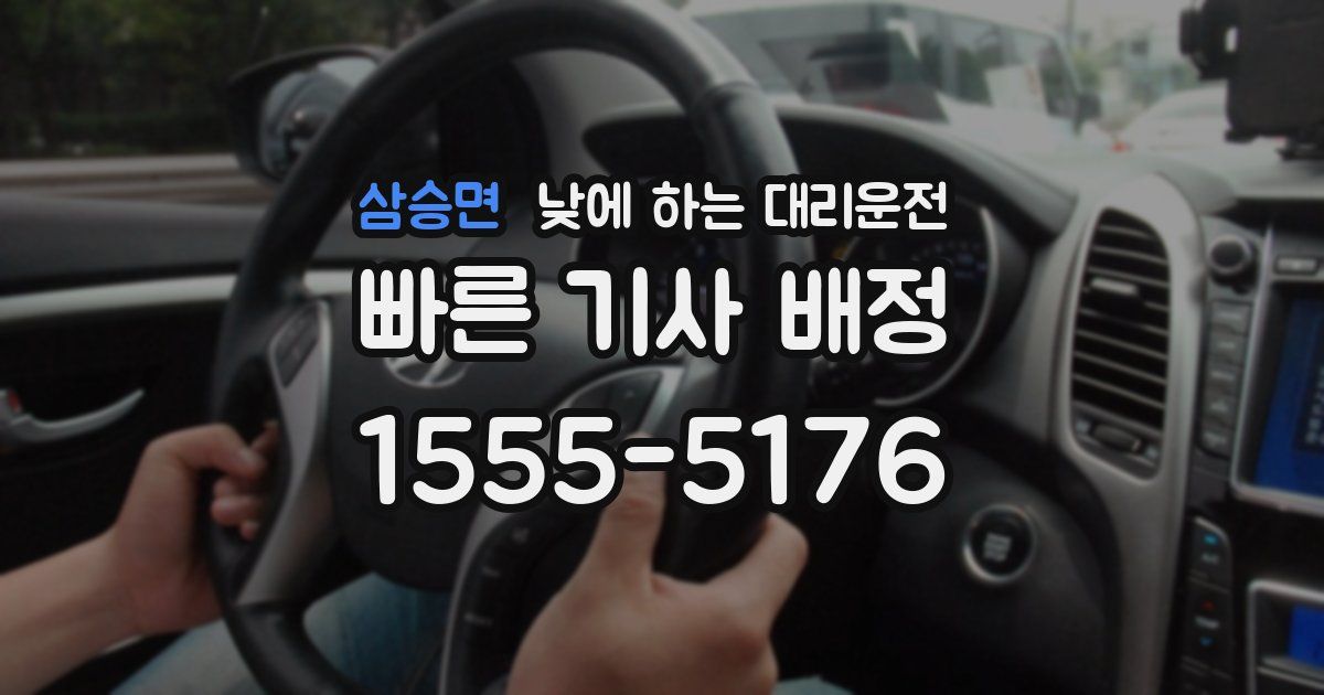 삼승면 낮에 하는 대리운전