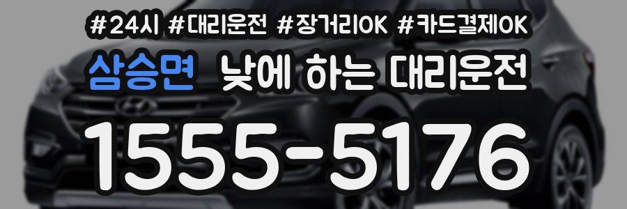 삼승면 낮에 하는 대리운전