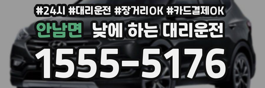 안남면 낮에 하는 대리운전