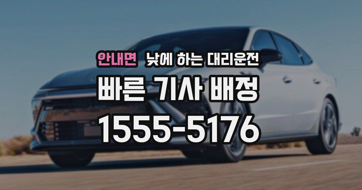 안내면 낮에 하는 대리운전