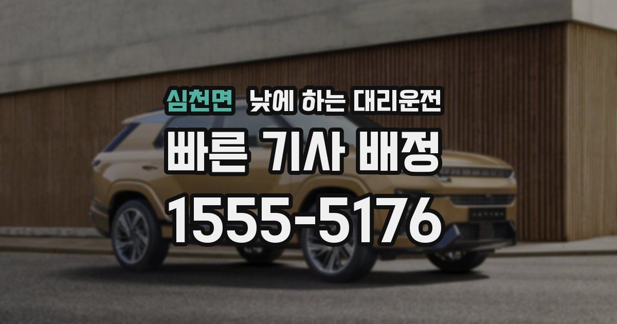 심천면 낮에 하는 대리운전