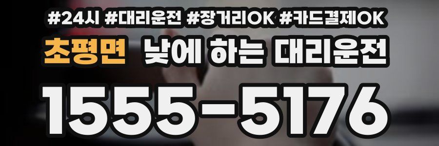 초평면 낮에 하는 대리운전