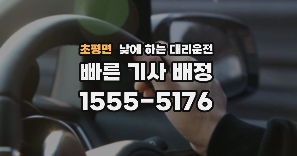 초평면 낮에 하는 대리운전