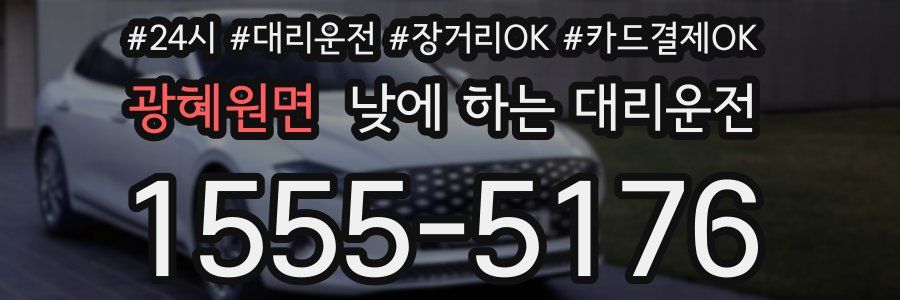 광혜원면 낮에 하는 대리운전