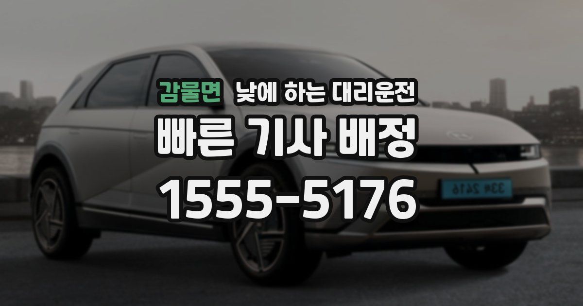 감물면 낮에 하는 대리운전
