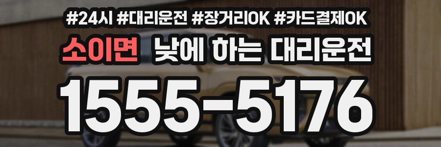 소이면 낮에 하는 대리운전