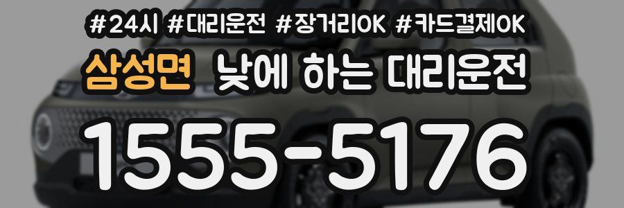 삼성면 낮에 하는 대리운전