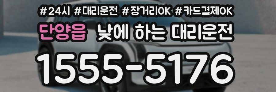 단양읍 낮에 하는 대리운전