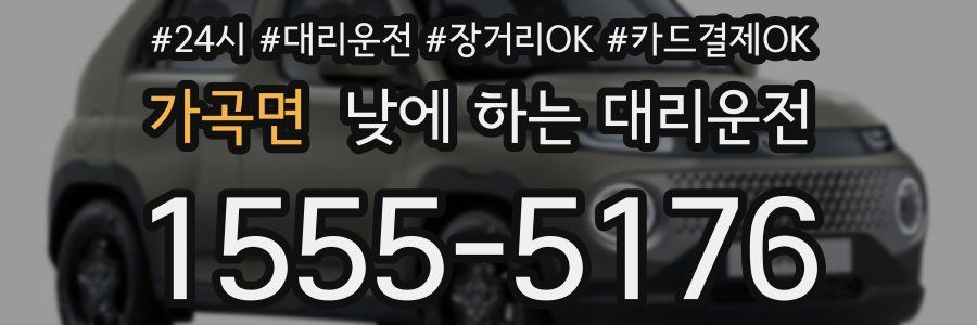 가곡면 낮에 하는 대리운전