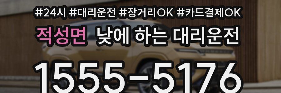 적성면 낮에 하는 대리운전