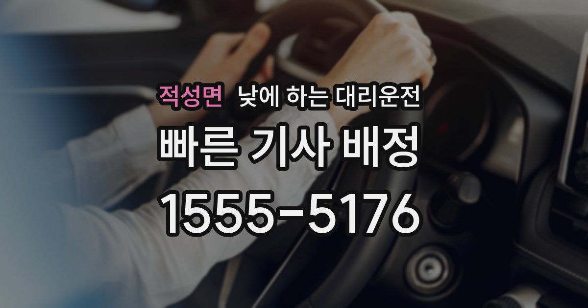 적성면 낮에 하는 대리운전