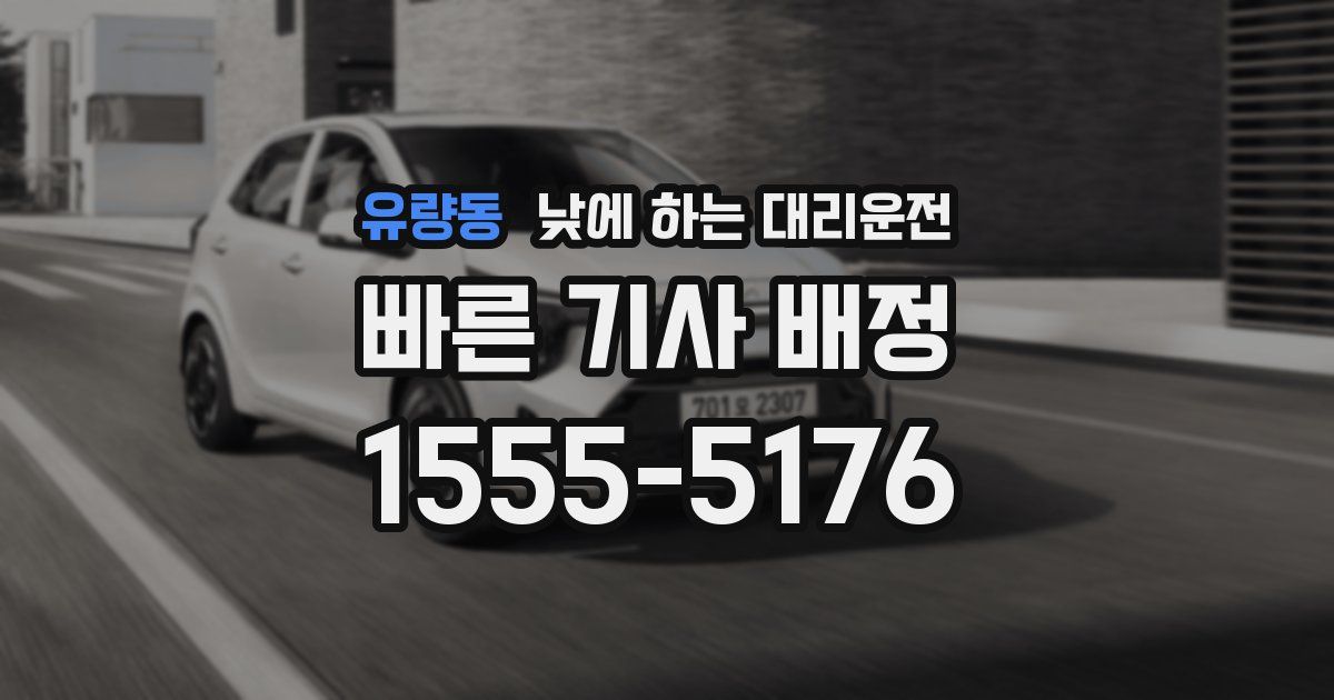 유량동 낮에 하는 대리운전