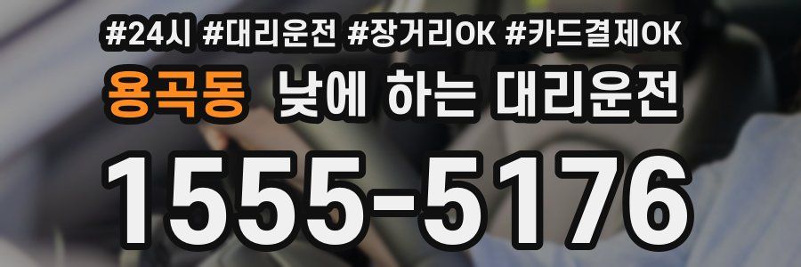 용곡동 낮에 하는 대리운전