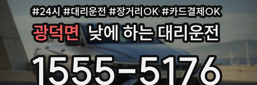광덕면 낮에 하는 대리운전