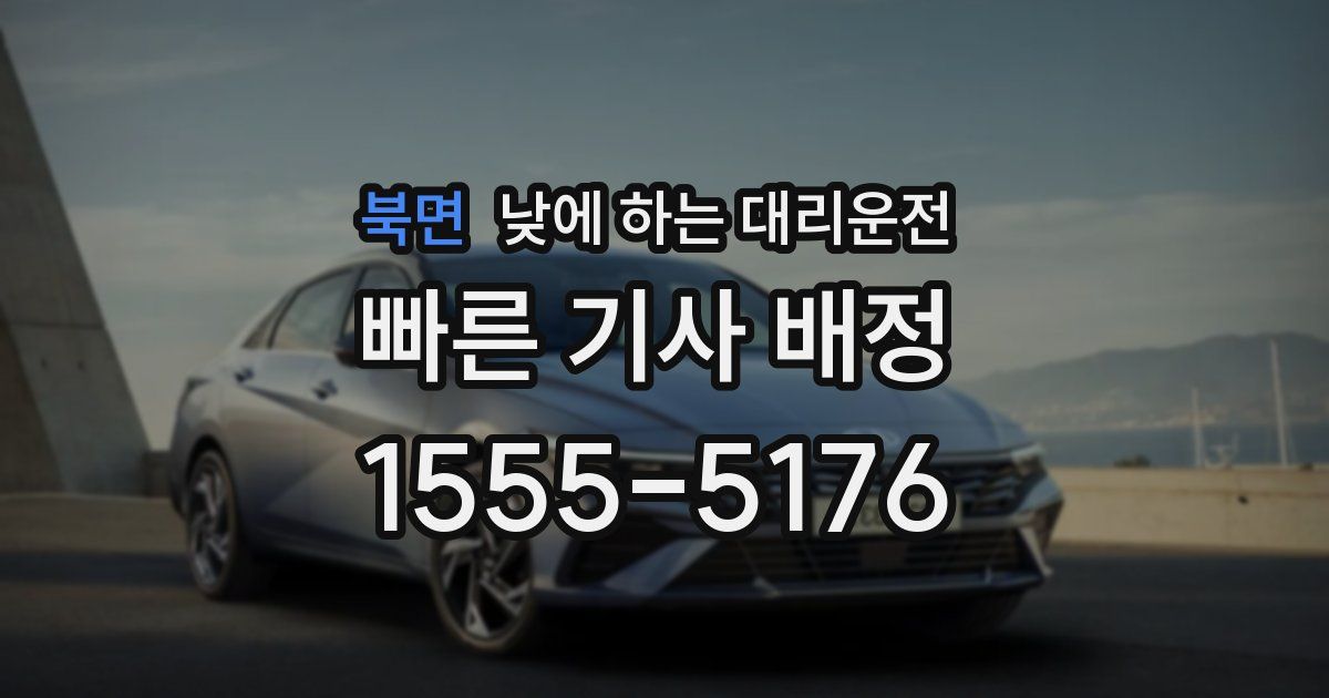 북면 낮에 하는 대리운전