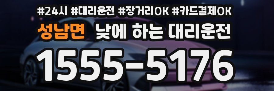 성남면 낮에 하는 대리운전