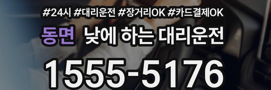 동면 낮에 하는 대리운전