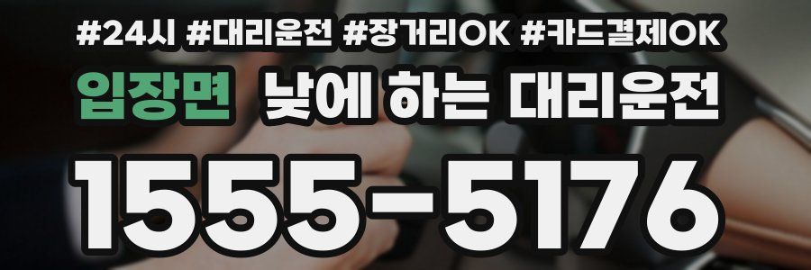 입장면 낮에 하는 대리운전