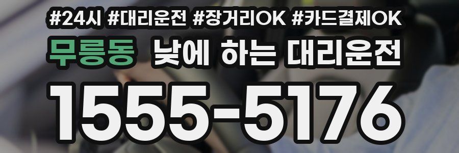 무릉동 낮에 하는 대리운전