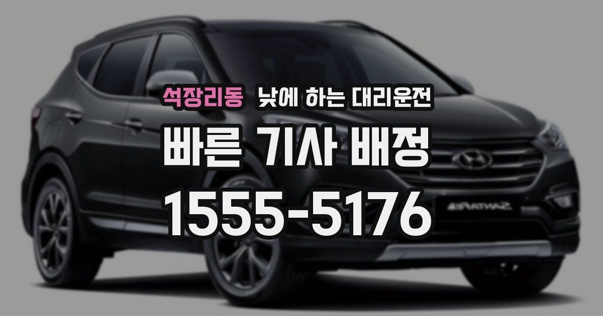 석장리동 낮에 하는 대리운전