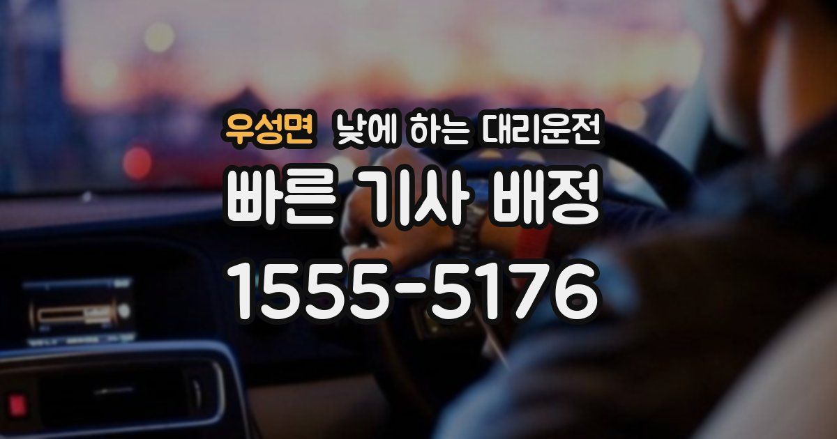 우성면 낮에 하는 대리운전