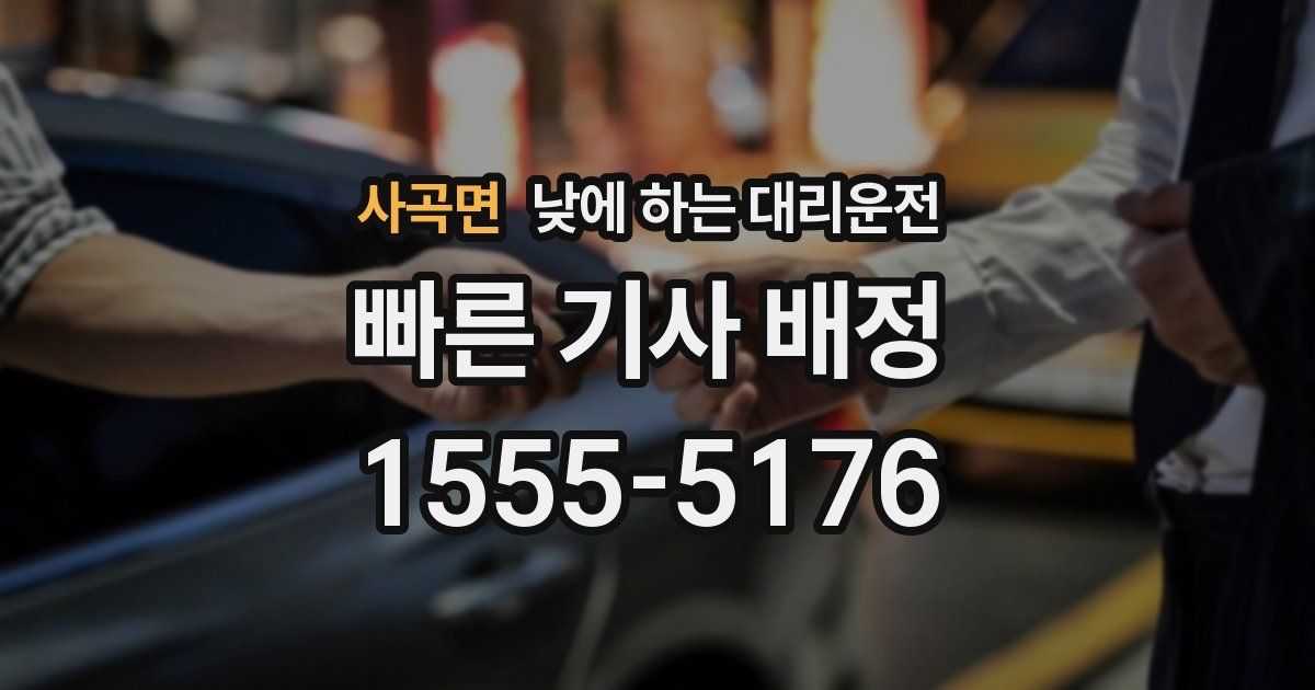 사곡면 낮에 하는 대리운전