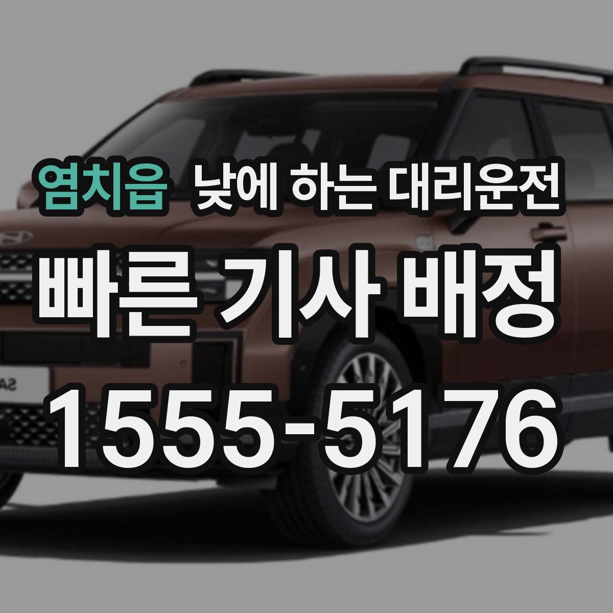 염치읍 낮에 하는 대리운전