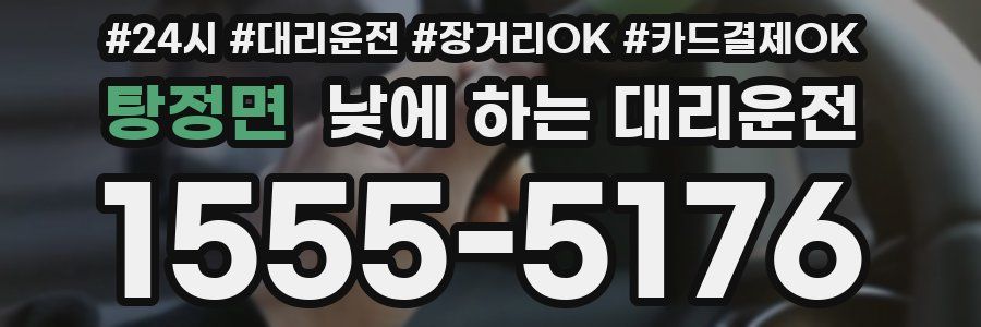 탕정면 낮에 하는 대리운전