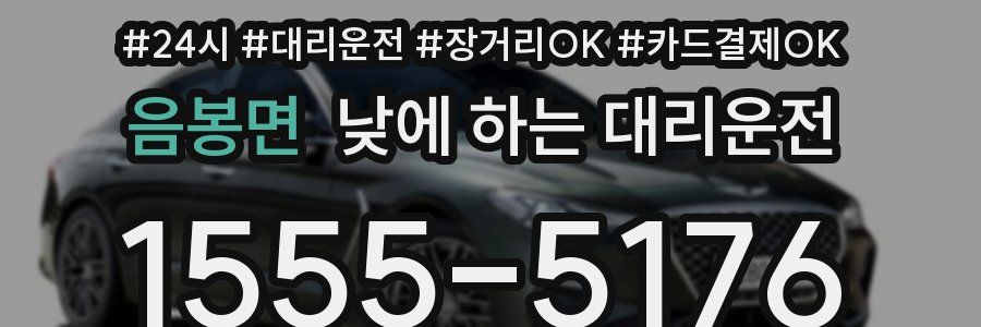 음봉면 낮에 하는 대리운전