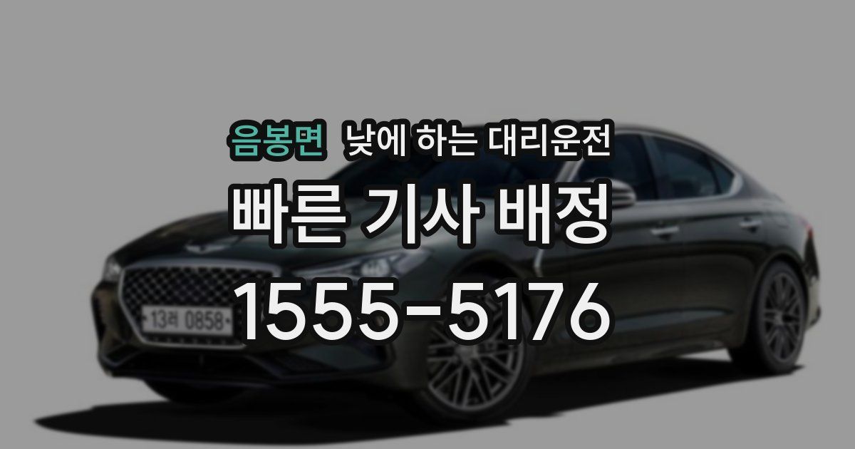 음봉면 낮에 하는 대리운전