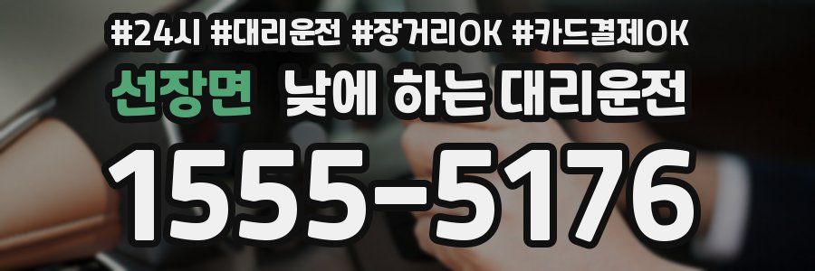 선장면 낮에 하는 대리운전