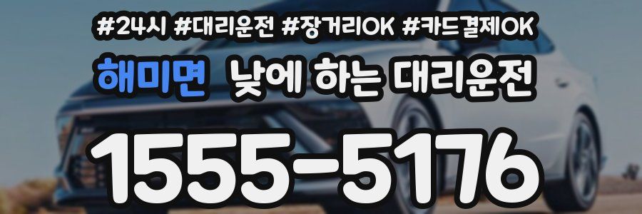 해미면 낮에 하는 대리운전