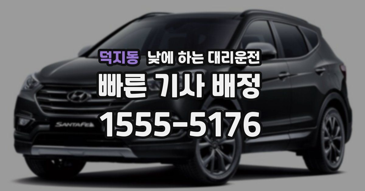 덕지동 낮에 하는 대리운전