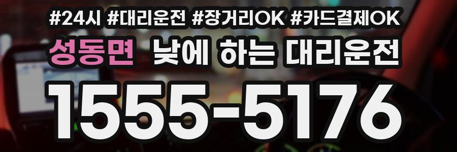 성동면 낮에 하는 대리운전