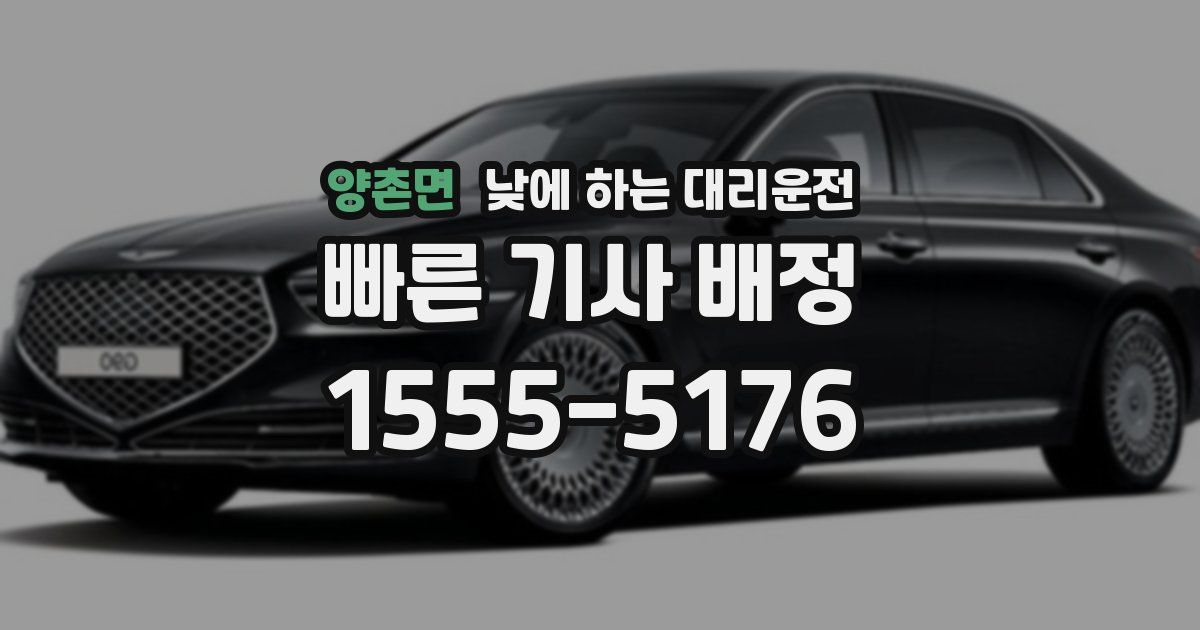 양촌면 낮에 하는 대리운전