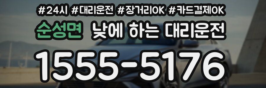 순성면 낮에 하는 대리운전