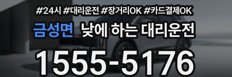 금성면 낮에 하는 대리운전